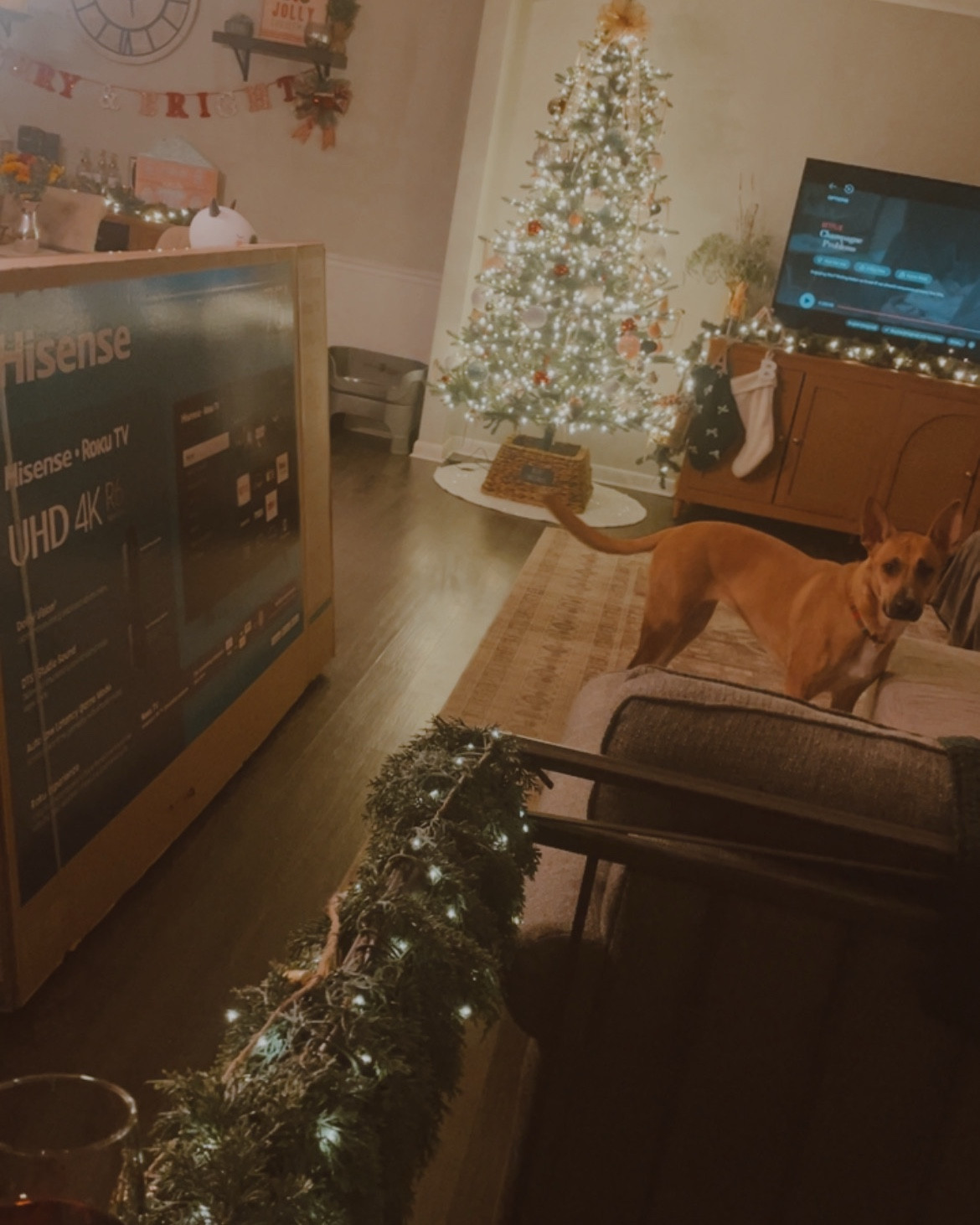 POV: You’re peacefully scrolling Christmas deals—matching PJs, stocking stuffers, a new pair of boots because mom deserves it—
and then BOOM, your husband walks in holding a 75” Hisense TV he bought because “the deal was good.”

Sir… we were shopping for toys, not a screen big enough to see from the driveway.

But honestly? If he’s gonna wreck the budget, at least it’s with THIS deal. 👇
✨ Hisense 75” 4K Roku TV
Huge, crisp, affordable—and perfect for reading subtitles while reheating your coffee for the 4th time.

Ours was grabbed at Walmart but I added some from other good deals too.

Walmart plus members also have options for free mounting with certain tvs and free delivery!

Linked here so you can grab one of the “deal is too good” too. 😉

#LTKFinds #HolidayDeals #MomLife #walmart

Tv buys
Living room
Black Friday
Cyber Monday
Deals
Walmart finds
Home decor
Mom life
Christmas gift
Christmas present 

#LTKGiftGuide #LTKstorytime #LTKCyberWeek