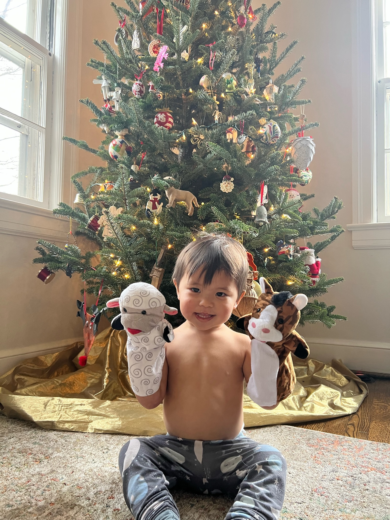 Hand puppets Eller has loved since he was 12 months old. 

#LTKfamily #LTKkids #LTKbaby