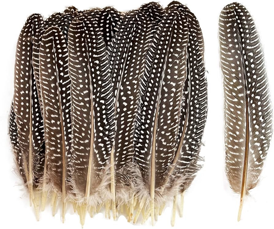 HAPPY FEATHER 6-9 inch Natural Guinea Wing Plumage Feather for DIY Craft, Jewelry and Clothing De... | Amazon (US)