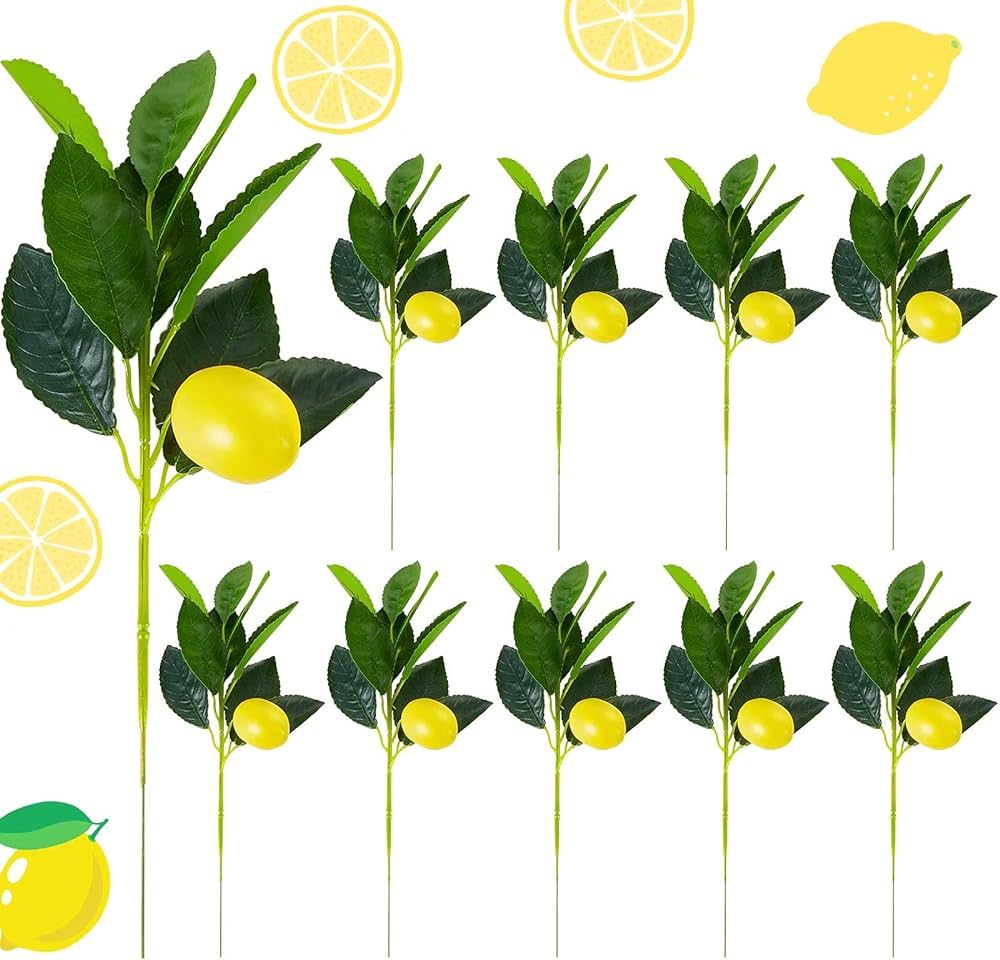 Chuangdi 10 Pieces Artificial Lemon Branches Lemon with Green Leaves Picks Artificial Lemon Picks... | Amazon (US)