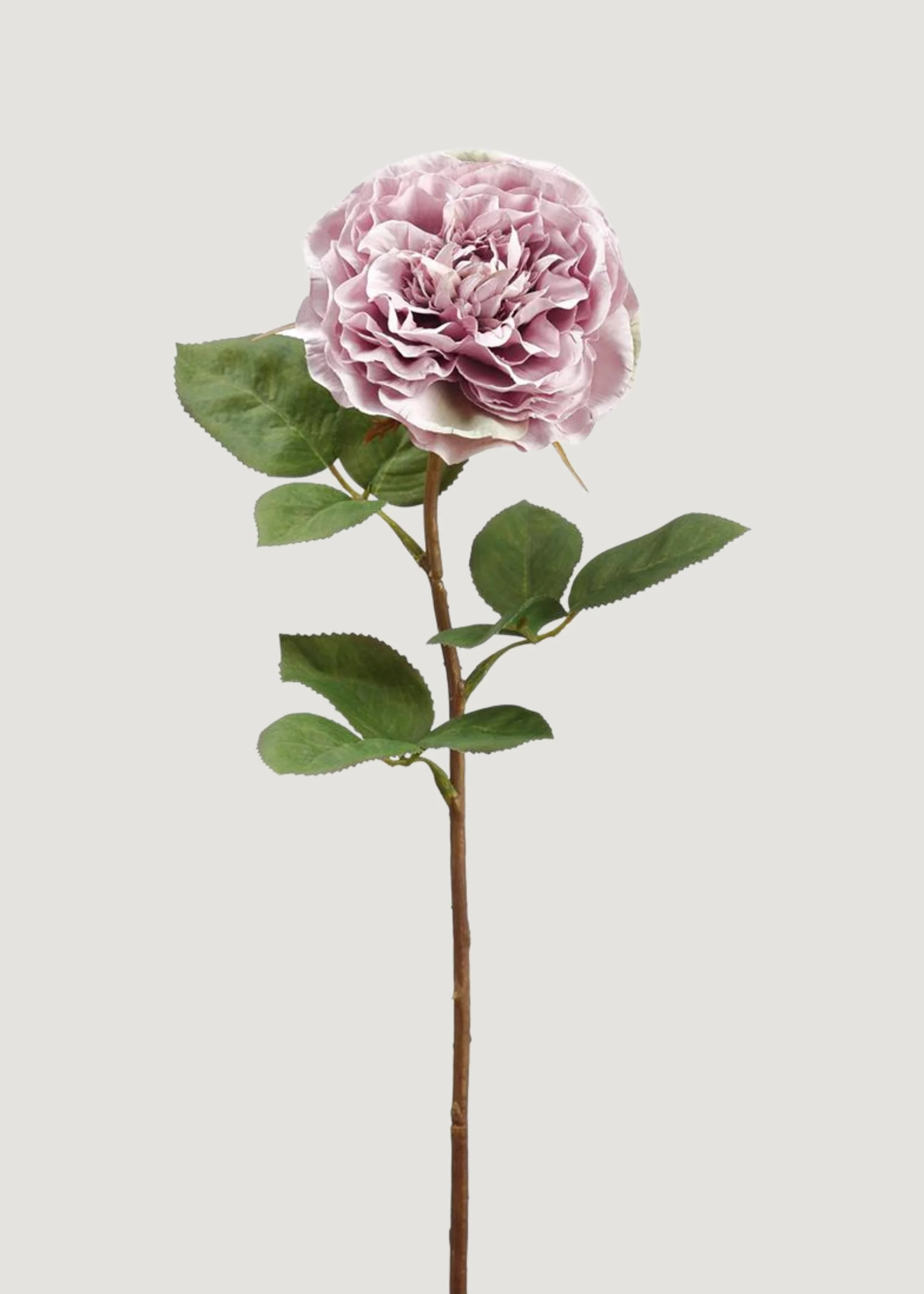 Cabbage Rose in Lavender | Artificial Wedding Flowers | Afloral | Afloral