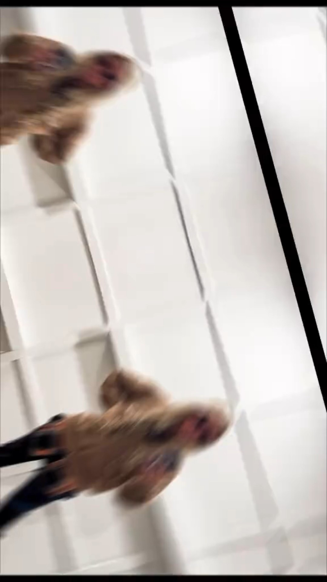 #LTKGiftGuide #LTKHalloween #LTKHoliday