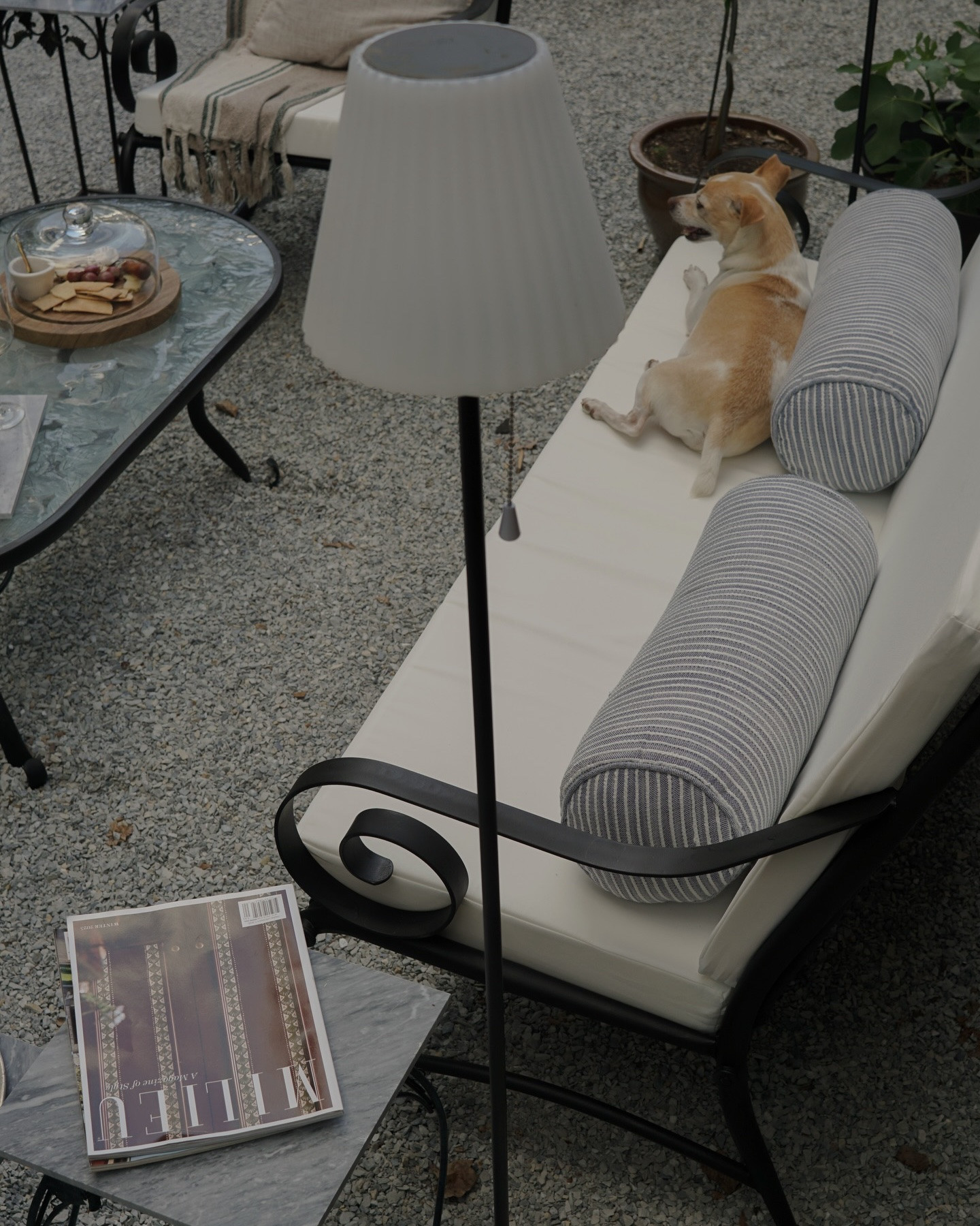 It’s almost charcuterie on the patio season and we can’t wait 🧀🍷🐶