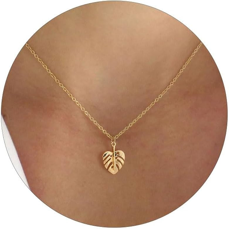 HANLI 14K Gold Plated Necklaces for Women - Dainty Butterfly, Star of David, Moon and Star, Sun, ... | Amazon (US)