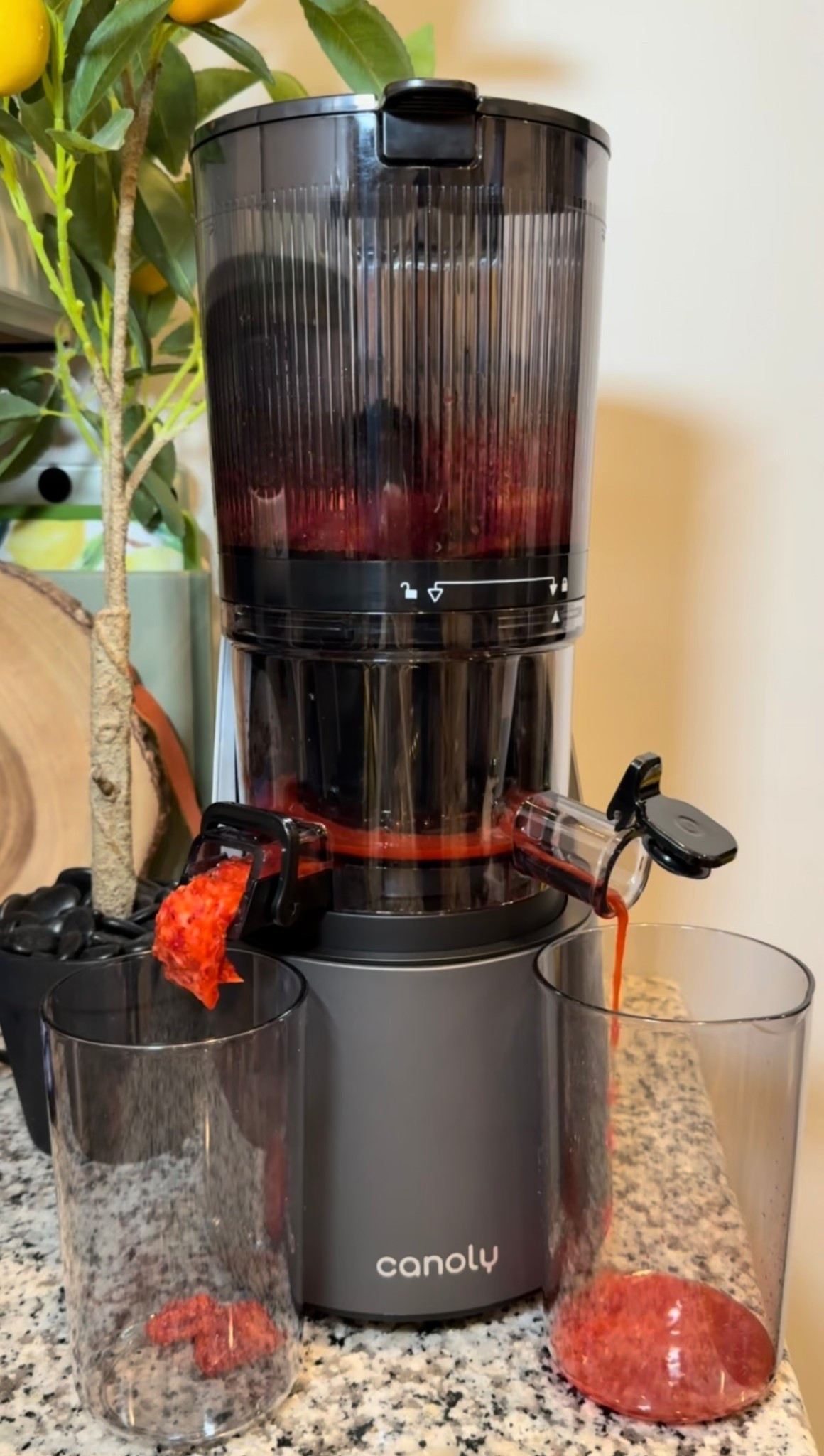 Juicer for even the most difficult fruits and vegetables.

#LTKfoodie #LTKHome #LTKSaleAlert
