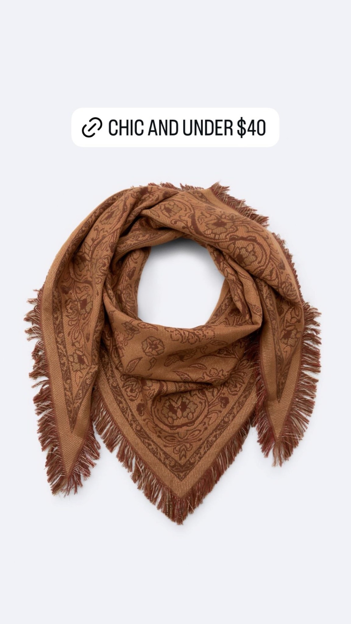 Fun scarf under $40! Accessory, accessories, Zara find. 

#LTKWorkwear #LTKSeasonal #LTKTravel