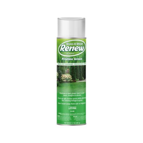 Amazon.com: Seymour 20-602 Grass and Shrub Renew Spray Paint, Pristine Green (17 oz.) : Patio, La... | Amazon (US)