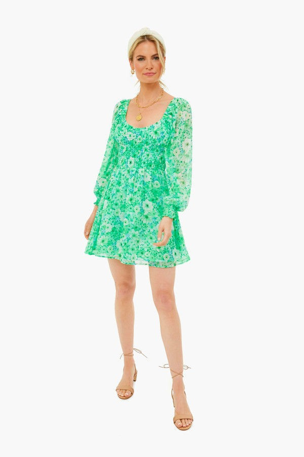 Basil Color Me Lucky Dress | Tuckernuck (US)