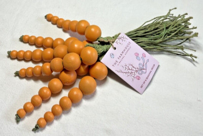 Rachel Ashwell the farmhouse CARROTS (6) WOODEN BEADS NWT | eBay US