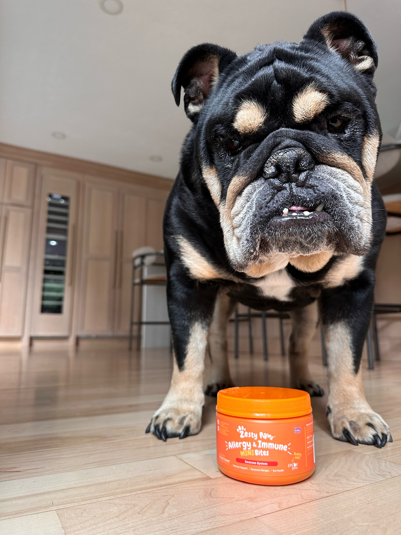 Ruger’s daily allergy treats 🐾 

If you have a bully breed, or a smoosh face, you know they seem to be allergic to the world. These help 💕 

We’ve noticed far less skin itching, and watery/gooey eyes.. and he LOVES them. 

Also, I can’t believe there isn’t a LTKfurbaby tag yet 🤗

#LTKFindsUnder50