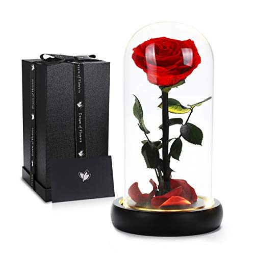 Dream of Flowers Birthday Gifts for Women,Beauty and The Beast Rose, Handmade Preserved Real Rose in Glass Dome on Black Wood with Warm Light, Rose Gifts for Women, Birthday, Anniversary Mothers Day | Amazon (US)