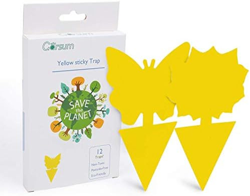 Garsum Sticky Trap,Fruit Fly and Gnat Trap Yellow Sticky Bug Traps for Indoor/Outdoor Use - Insec... | Amazon (US)