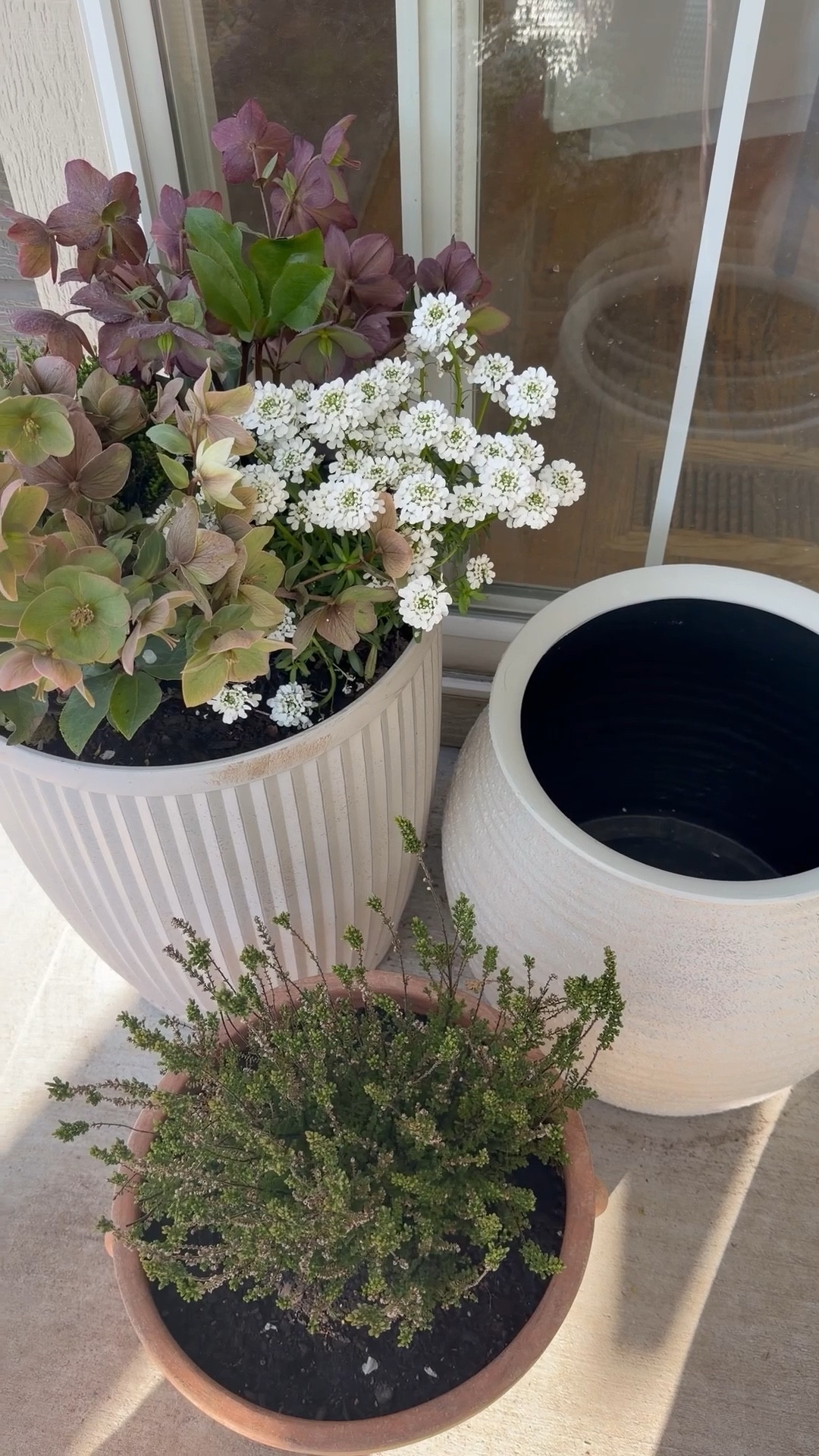 I haven’t decided what to plant on my third planter but still enjoying every bit of what I’ve done so far!! Love spring time!!☀️

#LTKHome #LTKSeasonal #LTKdayinmylife
