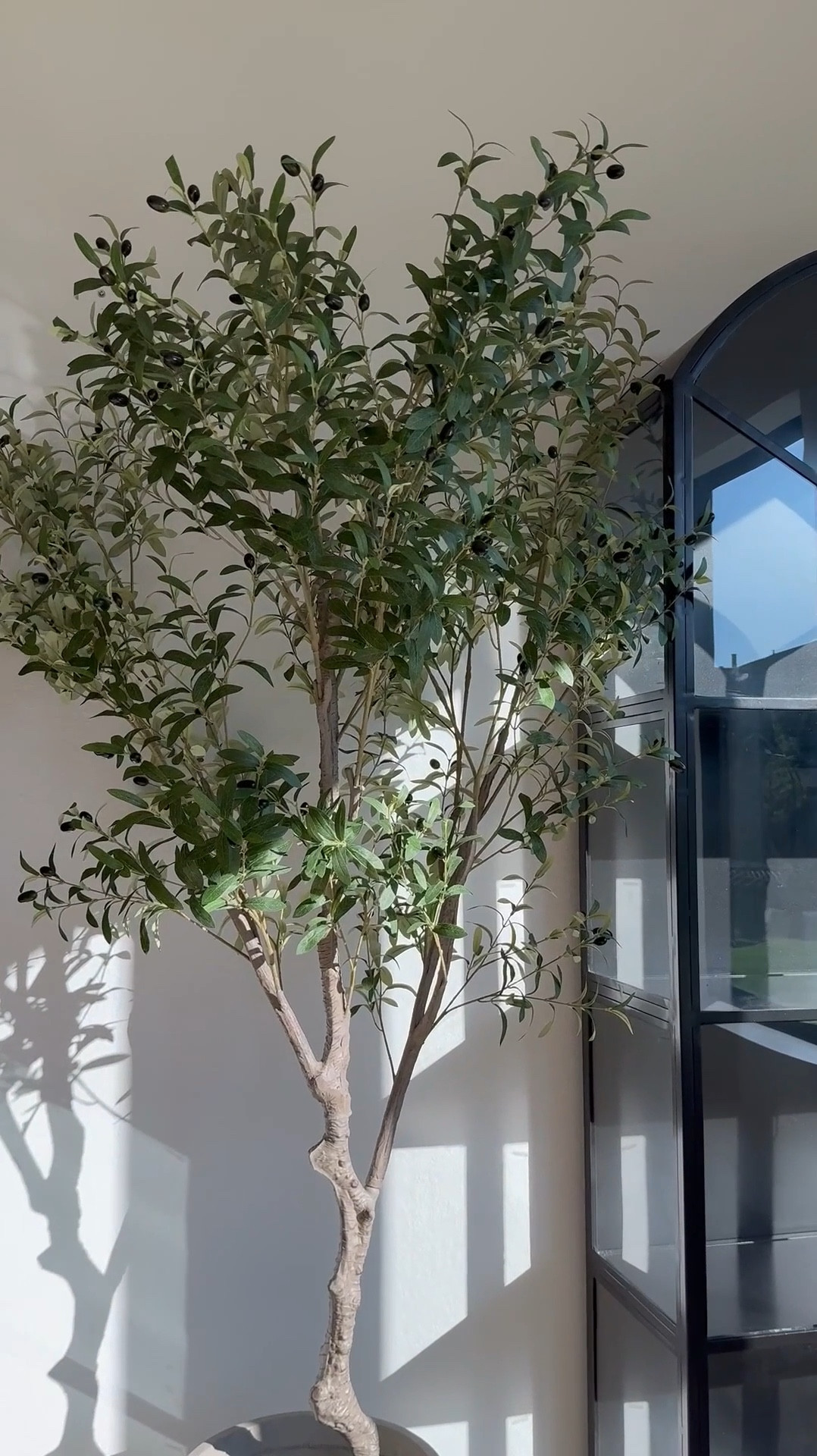 This stunning olive tree comes in two sizes and is perfect for adding greenery to any space! The planter comes in 3 sizes and comes in various colors! 

Shop below! 🫶🏽🤍🫶🏽

#LTKHome #LTKSaleAlert #LTKStyleTip