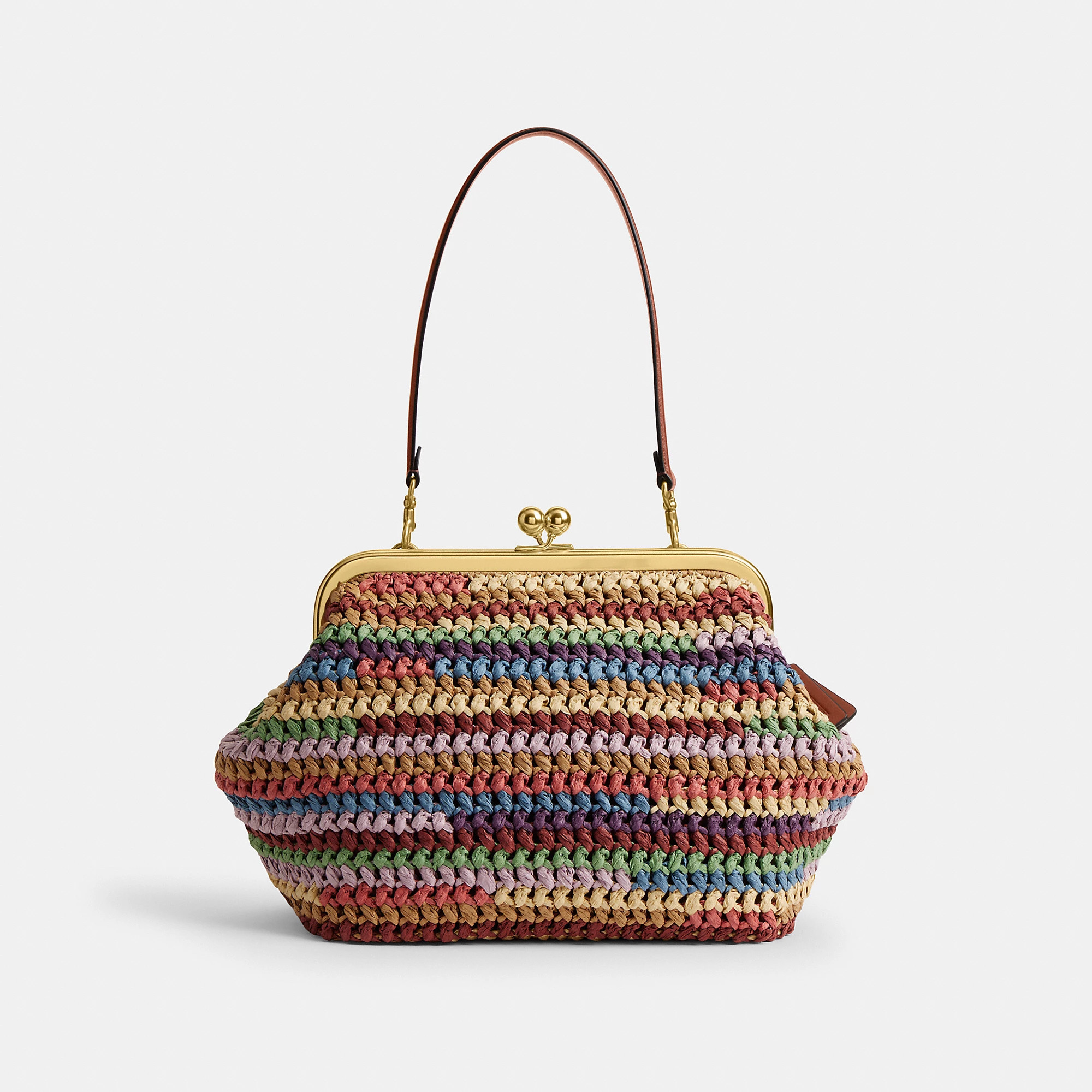 Kisslock Frame Bag 27 | Coach (US)