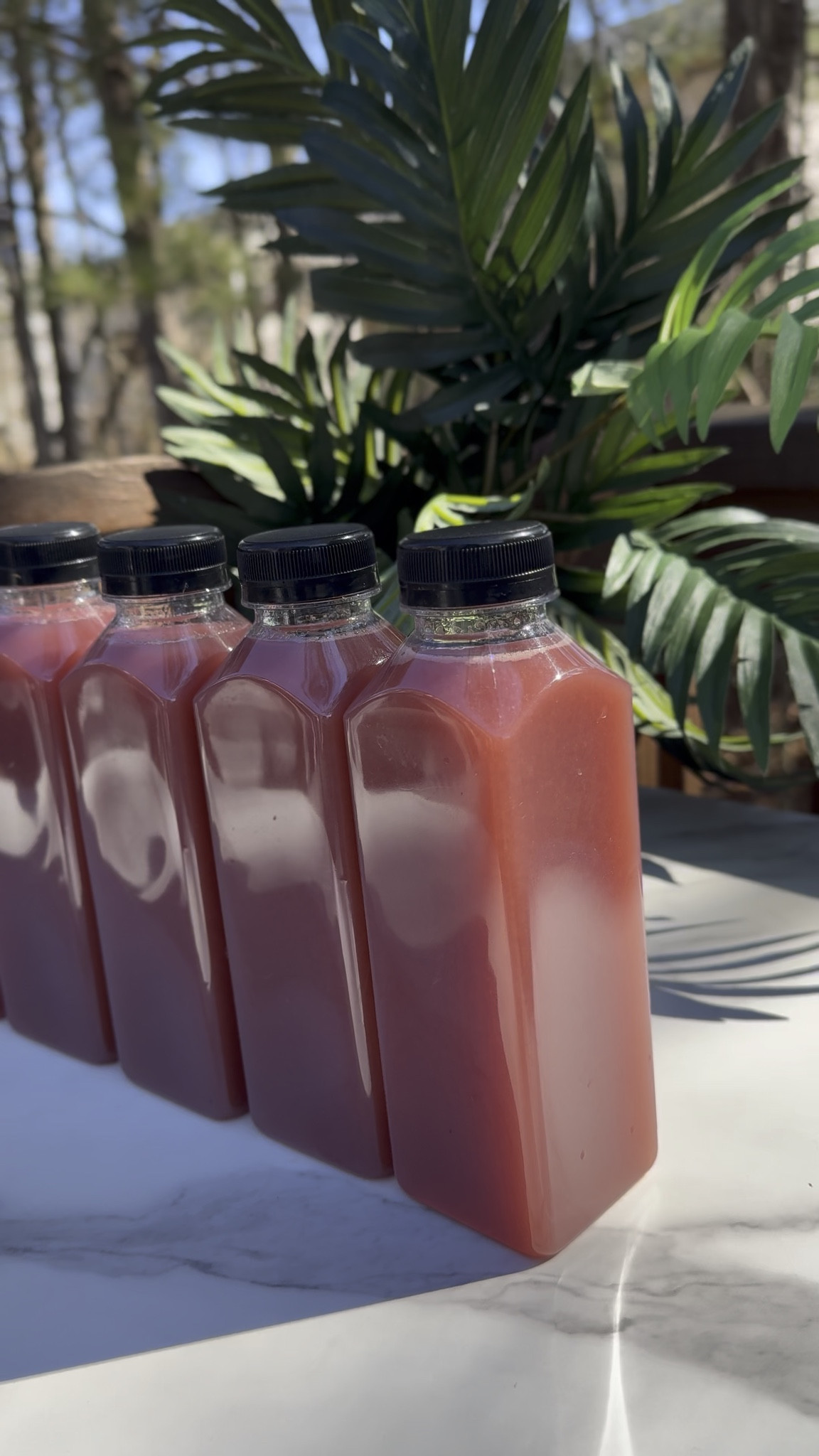 If you’re going to start juicing, don’t play small… get the BEST juicer 🤭🍍

The right juicer saves time, saves produce, and makes batch juicing for the week effortless. No stress. No mess. Just fresh juice on demand.

Your health is an investment. Start with the tool that makes it sustainable.

Everything you need to begin your juicing journey is linked.

#BestJuicer #JuicingJourney #HealthFirst #ColdPressedJuice #WellnessUpgrade #AtlantaCreator #ShoppingWithPriiincesss

#LTKActive #LTKHome #LTKfoodie