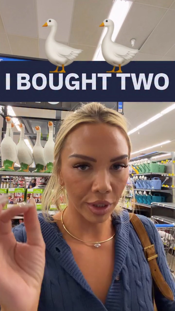 Type SHOP for my Walmart outfit & get some porch geese with me!!!! Come on your kids and your husband will love them 🪿🪿 #porchgoose #walmartfinds #cardigan #joggers #casualoutfits