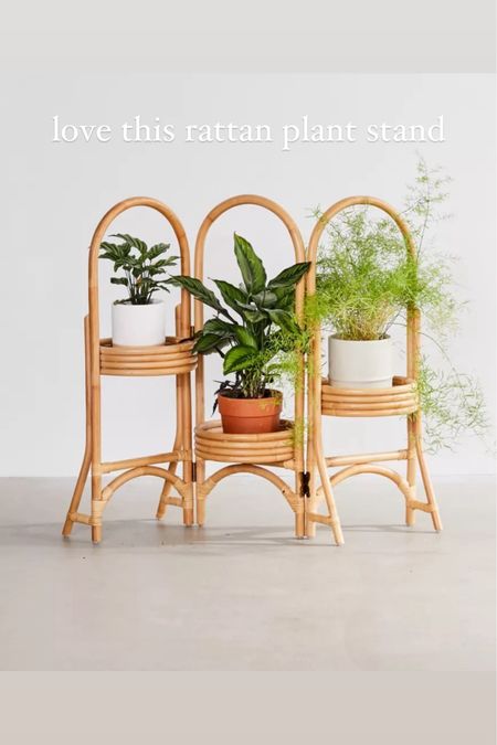 Love a good plant stand for ambiance in a room 

#LTKhome #LTKstyletip