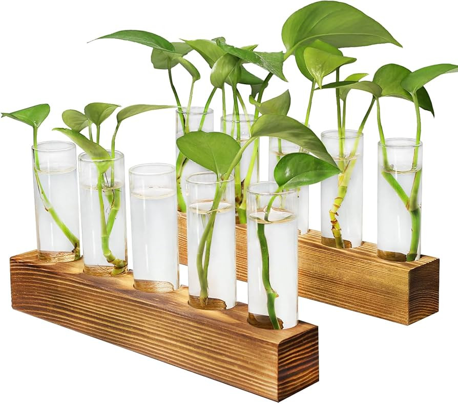 Plant Propagation Station, Plant Terrarium with Wooden Stand for Hydroponics Plants Office Decor ... | Amazon (US)