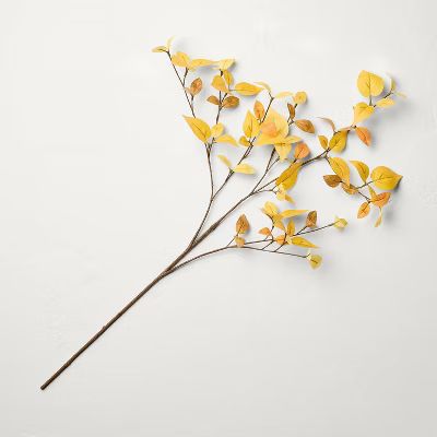 Faux Golden Dogwood Stem - Hearth & Hand™ with Magnolia | Target