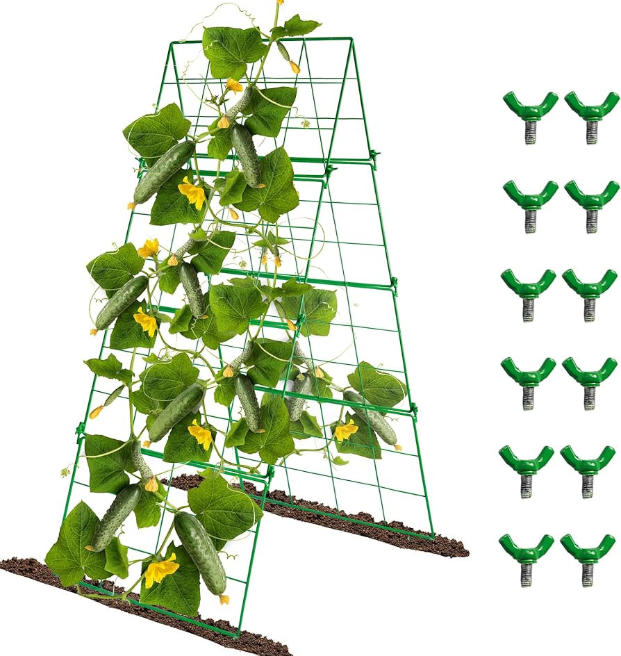 Visit the Hourleey Store | Amazon (US)