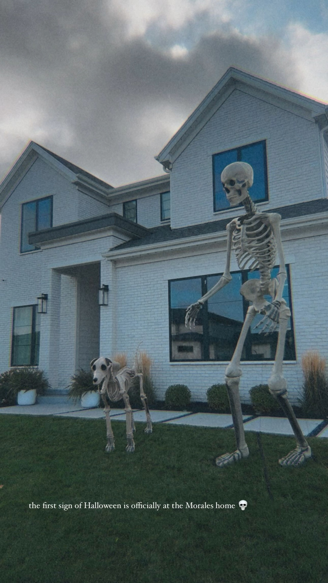 Loveeee our skelley abd skelley dog 

#LTKFallSale #LTKStyleTip #LTKHome