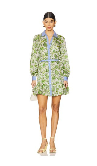 Tirza Dress in Ivory Multi & Blue Hydrangea | Revolve Clothing (Global)