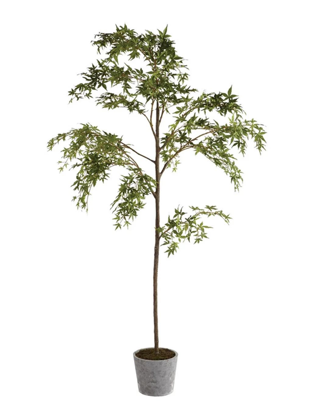Faux Potted Maple Tree | House of Jade Home