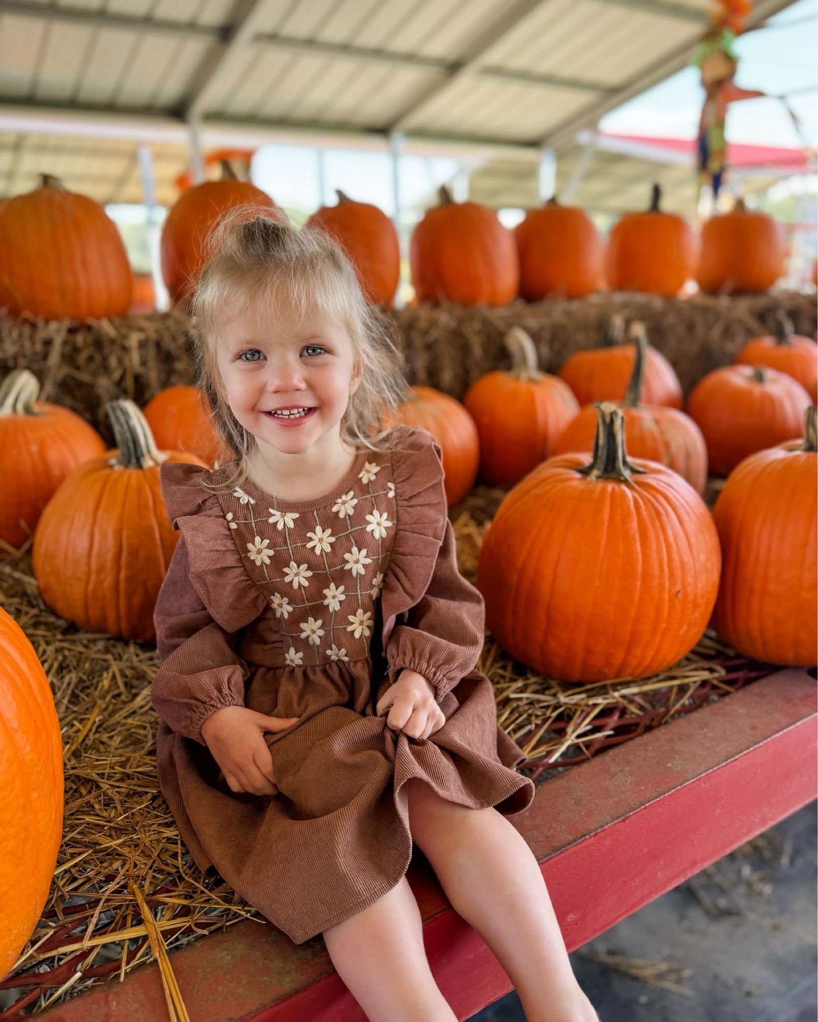 Annual pumpkin patch photos 🎃 embroidered Daisy’s dress. Linking the dress and pattern 

#LTKHalloween #LTKStyleTip #LTKHoliday