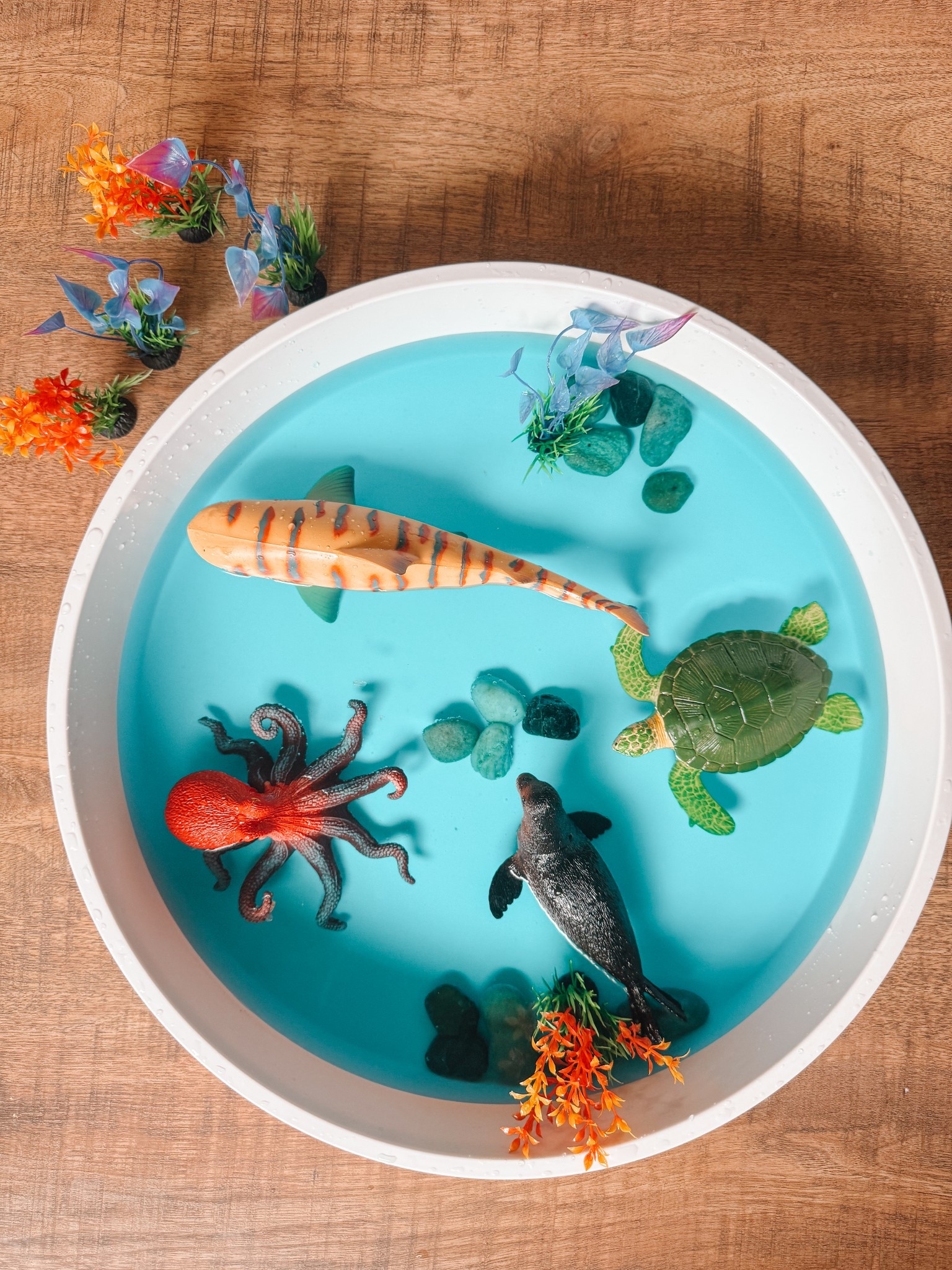 OCEAN OIL SPILL CLEAN UP TRAYonce

#LTKSeasonal #LTKHome #LTKKids