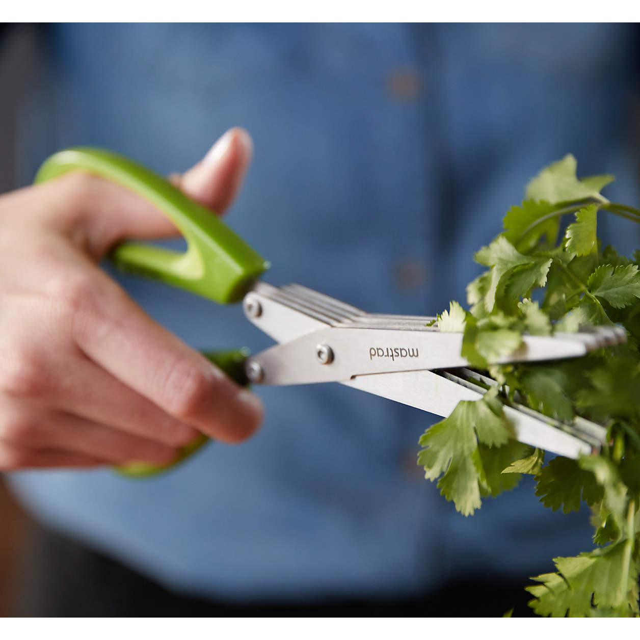 5-Blade Herb Scissors + Reviews | Crate & Barrel | Crate & Barrel