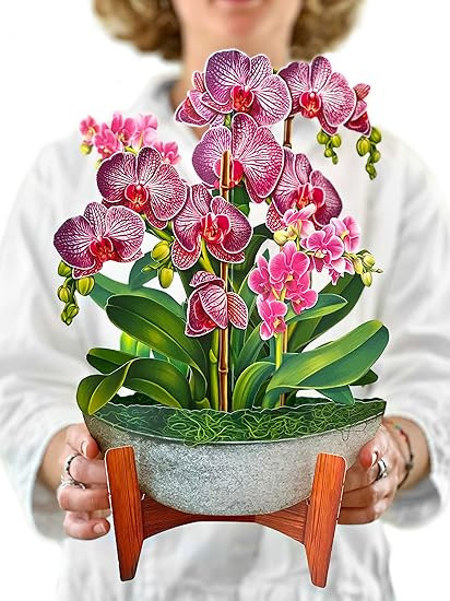 Freshcut Paper Pop Up Cards, Orchid Oasis, 12 Inch Life Sized Forever Flower Bouquet 3D Popup Gre... | Amazon (US)