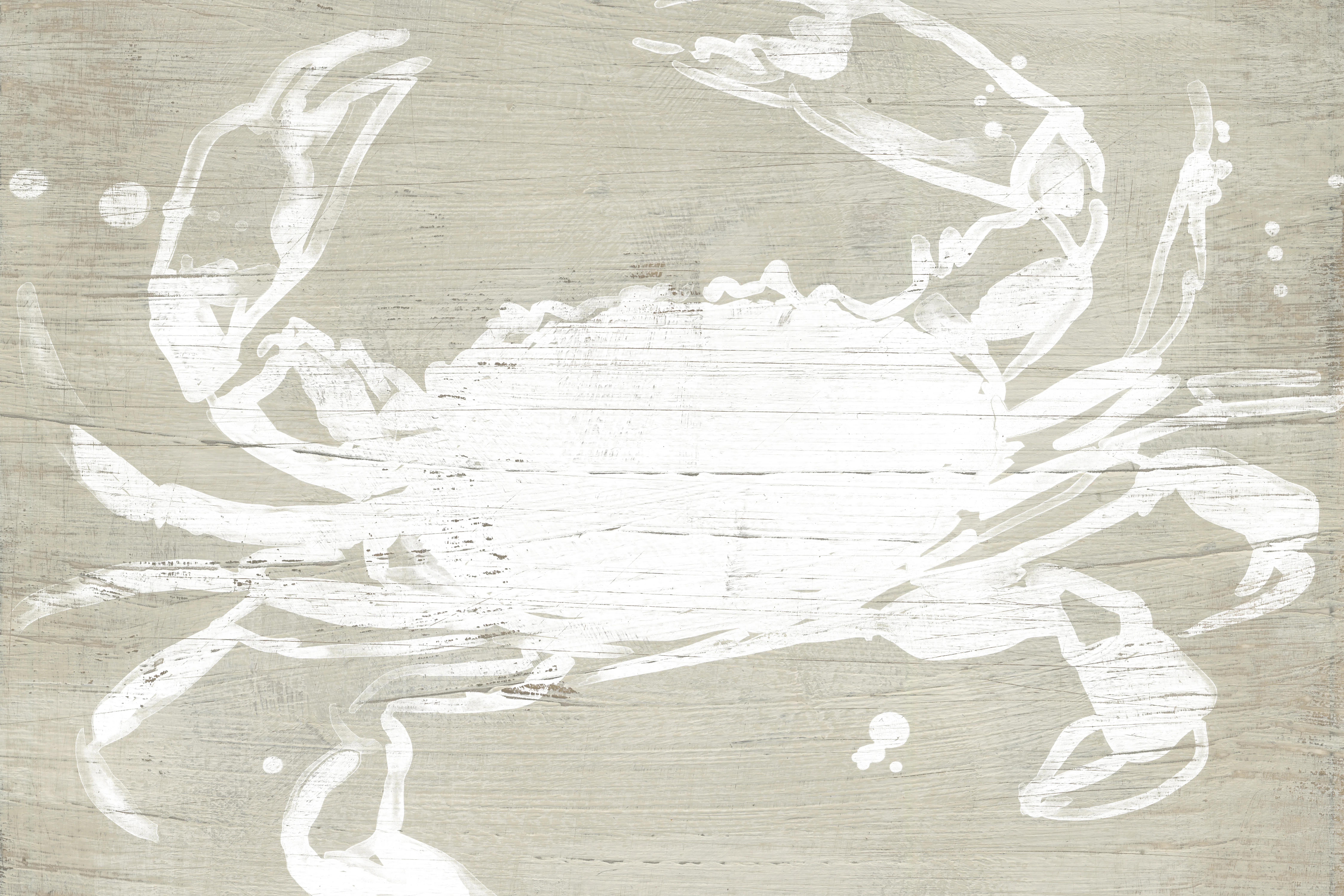 " Weathered Crab I " | Wayfair North America