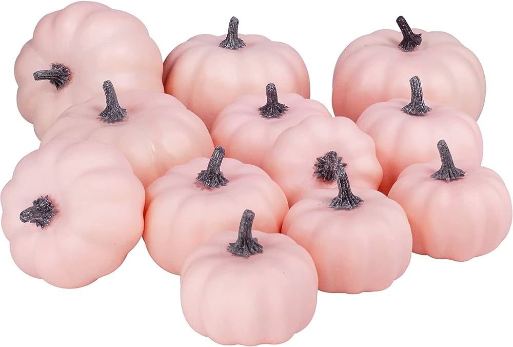 BESTTOYHOME 12 Pcs Assorted Faux Small Light Pink Pumpkins Decorative Pumpkins Pale Pink Foam Pum... | Amazon (US)