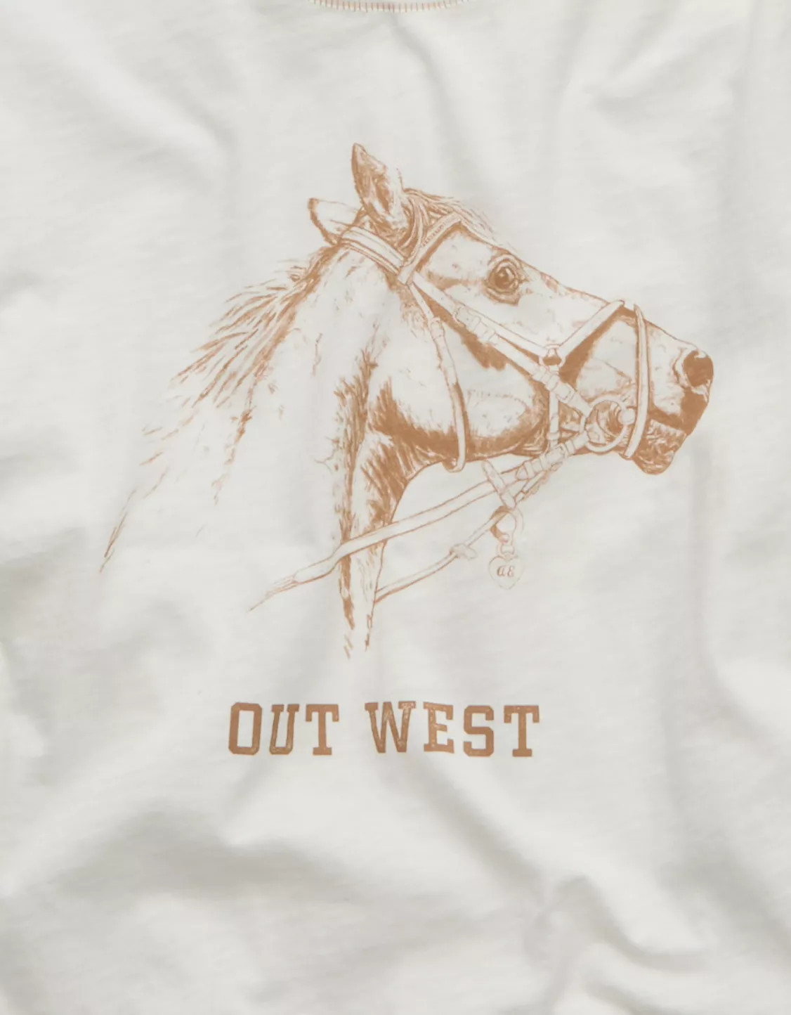 AE Western Graphic Shrunken Tee | American Eagle Outfitters (US & CA)