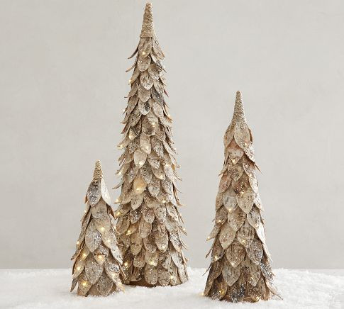 Lit Birch Trees | Pottery Barn (US)