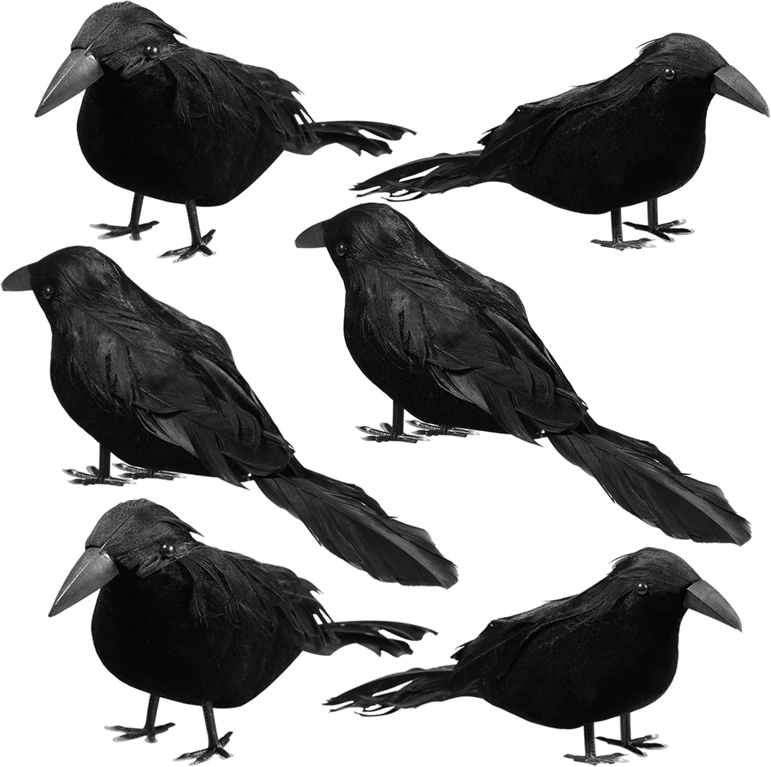 Sizonjoy 6 Pack Halloween Black Feathered Crows, Halloween Decorations Realistic Bird Halloween Ravens Decor Props | Amazon (US)