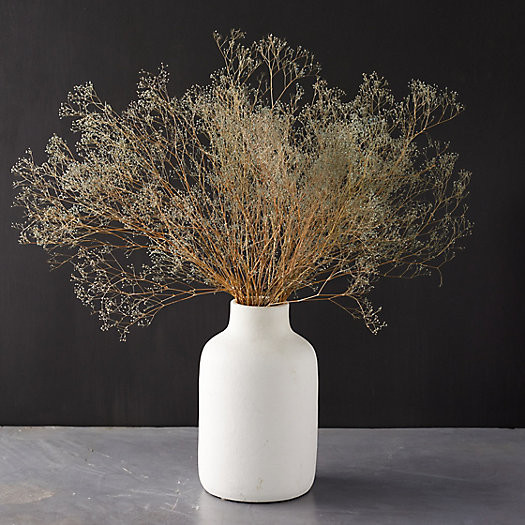 Preserved Gypso Bunch | Terrain