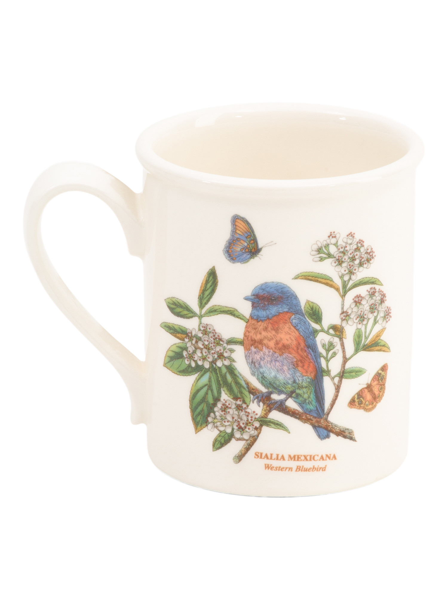 Western Bluebird Breakfast Mug | Kitchen & Dining Room | Marshalls | Marshalls