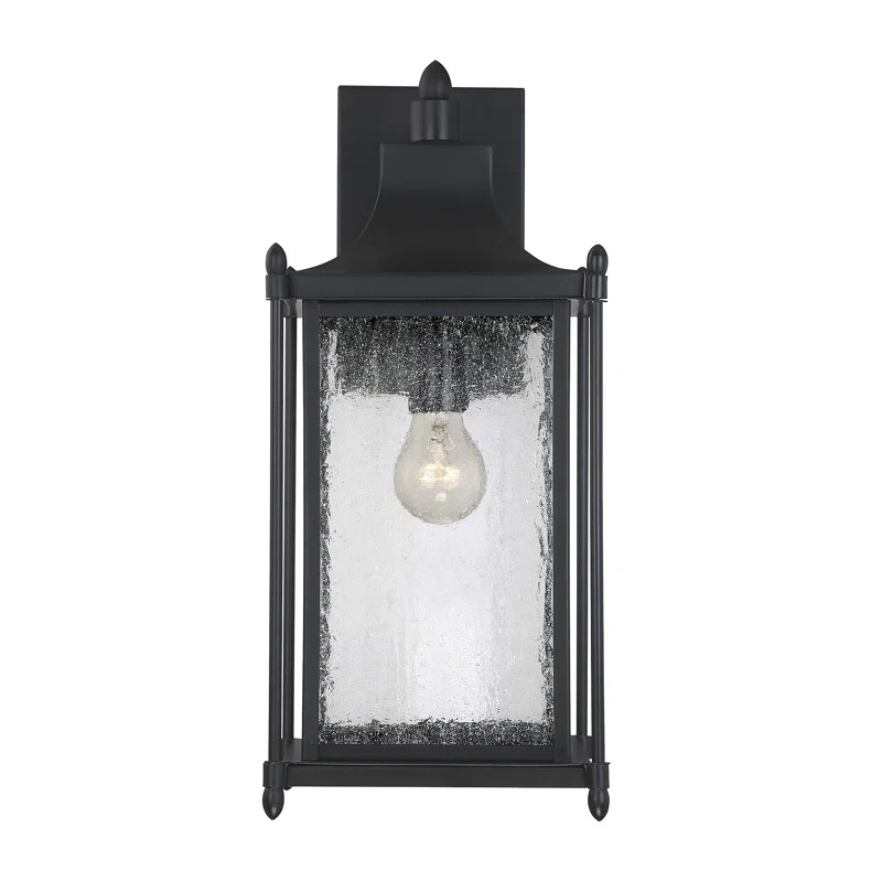 Alondra Steel Wall Light | Wayfair North America