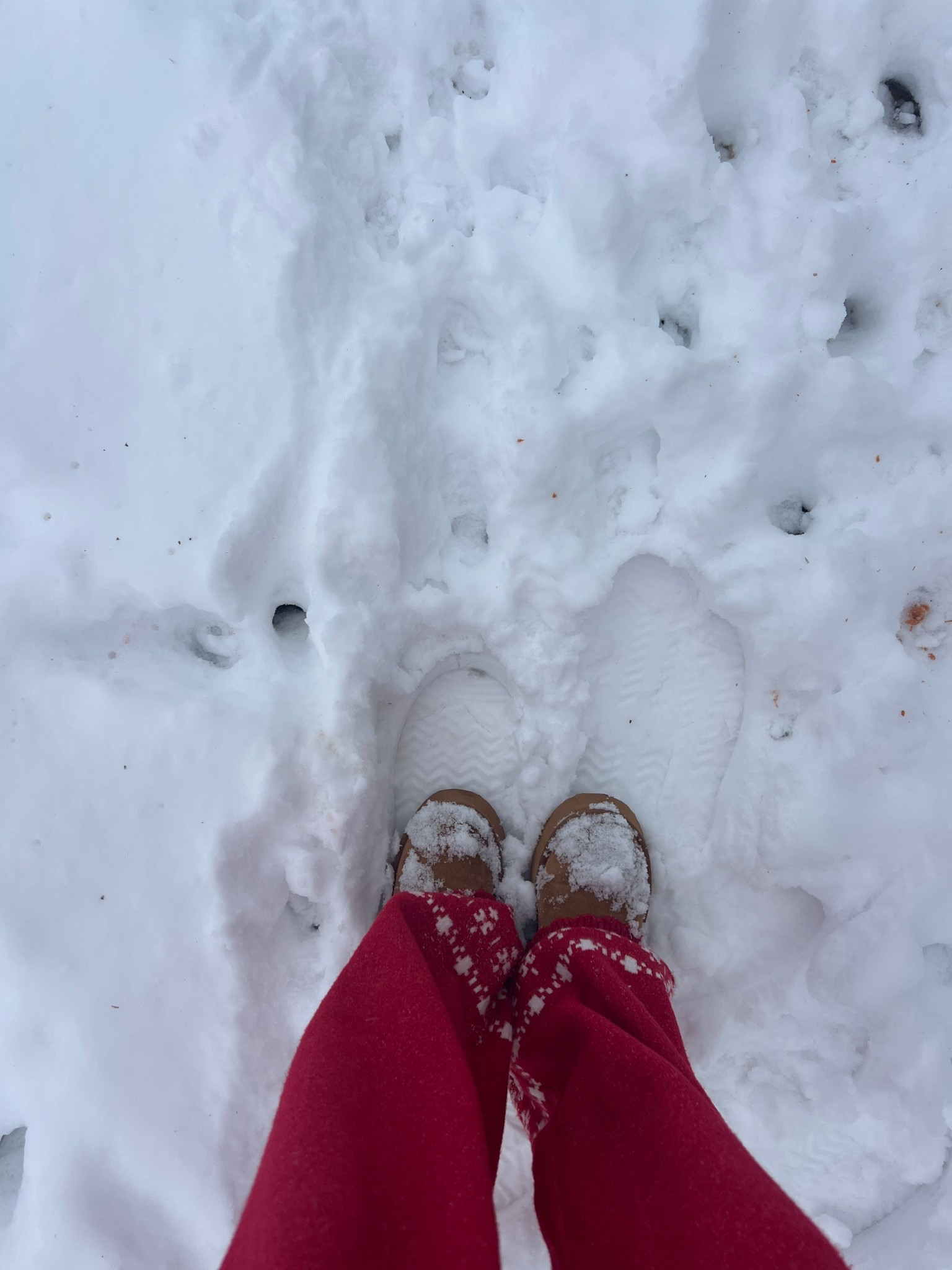 the set & boots of the winter!!!! ❤️🎀

size medium in set — from TjMaxx and is the Cupcakes & Cashmere brand.. not on the Tjmaxx website but linking similar from that brand :)
size 9 in ugg boot dupes from Amazon

trending sets, winter outfits, casual outfits, cozy outfits, TjMaxx sets, Christmas sets, red sets, sweater sets, cashmere sets, trending at TjMaxx, warm sets, outfit of the day, Amazon finds, Amazon shoes, Amazon boots, Ugg boot dupes, winter footwear, cozy shoes

#LTKFindsUnder50 #LTKSeasonal #LTKHoliday