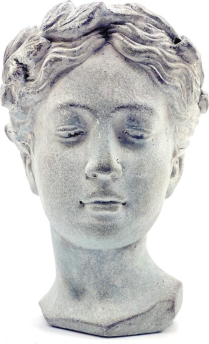 Greek/Roman Female Goddess Head Planter Indoor/Outdoor Cement Flower Succulant Pot 8.25" | Amazon (US)