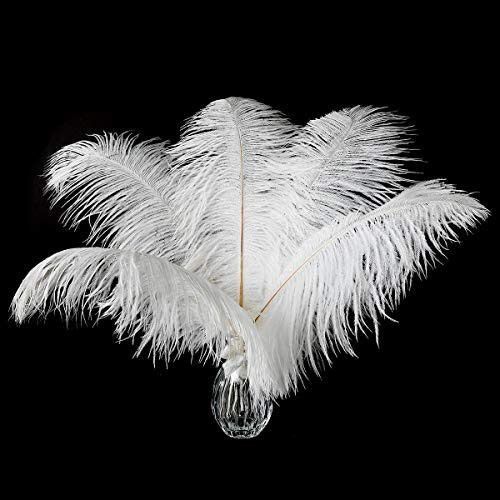24pcs Natural White Ostrich Feathers 10-12inch (25-30cm) for Wedding Party Centerpieces，Flower Arrangement and Home Decoration. | Amazon (US)