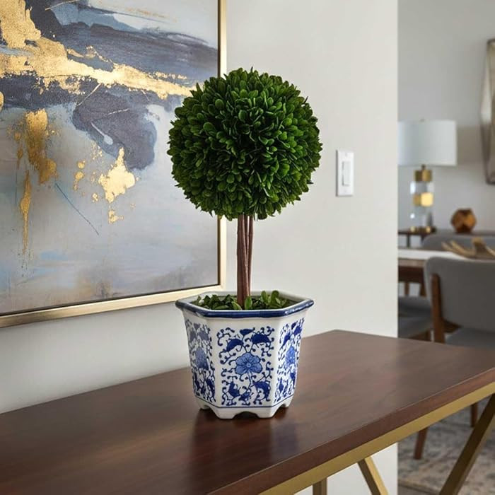 Galt International Preserved Boxwood Topiary Tree in Blue & White Ceramic Pot - Plant and Table C... | Amazon (US)
