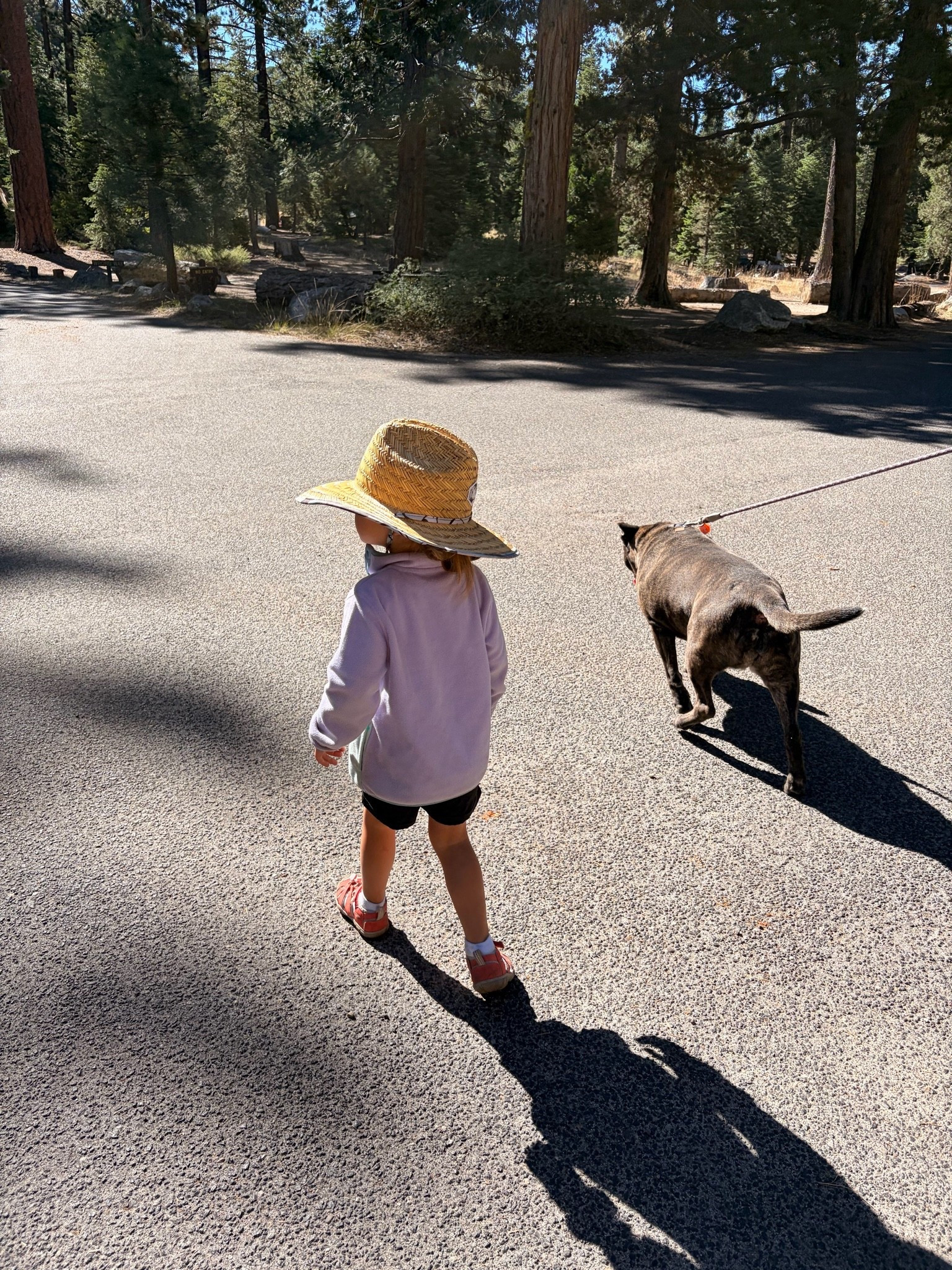 She’s so much cooler than I am. Little outdoorsy princess!

#LTKdayinmylife #LTKmomlife #LTKKids