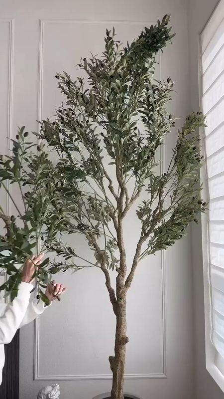 My 10’ olive tree has been restocked! 

Amazon, Rug, Home, Console, Amazon Home, Amazon Find, Look for Less, Living Room, Bedroom, Dining, Kitchen, Modern, Restoration Hardware, Arhaus, Pottery Barn, Target, Style, Home Decor, Summer, Fall, New Arrivals, CB2, Anthropologie, Urban Outfitters, Inspo, Inspired, West Elm, Console, Coffee Table, Chair, Pendant, Light, Light fixture, Chandelier, Outdoor, Patio, Porch, Designer, Lookalike, Art, Rattan, Cane, Woven, Mirror, Luxury, Faux Plant, Tree, Frame, Nightstand, Throw, Shelving, Cabinet, End, Ottoman, Table, Moss, Bowl, Candle, Curtains, Drapes, Window, King, Queen, Dining Table, Barstools, Counter Stools, Charcuterie Board, Serving, Rustic, Bedding, Hosting, Vanity, Powder Bath, Lamp, Set, Bench, Ottoman, Faucet, Sofa, Sectional, Crate and Barrel, Neutral, Monochrome, Abstract, Print, Marble, Burl, Oak, Brass, Linen, Upholstered, Slipcover, Olive, Sale, Fluted, Velvet, Credenza, Sideboard, Buffet, Budget Friendly, Affordable, Texture, Vase, Boucle, Stool, Office, Canopy, Frame, Minimalist, MCM, Bedding, Duvet, Looks for Less

#LTKstyletip #LTKhome #LTKSeasonal
