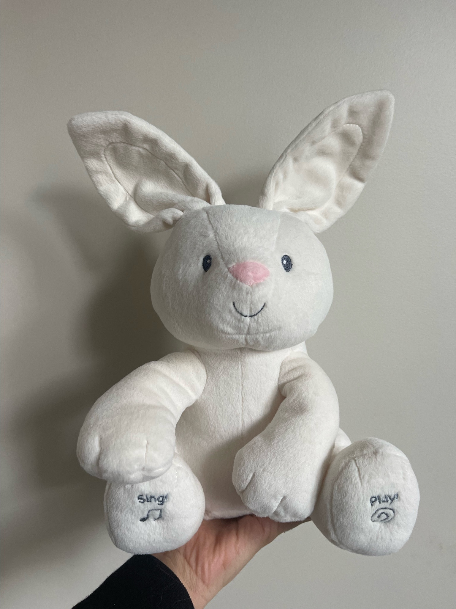 Singing stuffed animal toy 

*5 months old B/G twins 

#LTKfindsunder50 #LTKbaby #LTKkids
