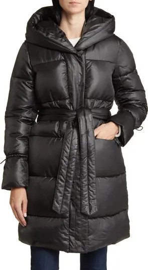 Hooded Puffer Jacket | Nordstrom
