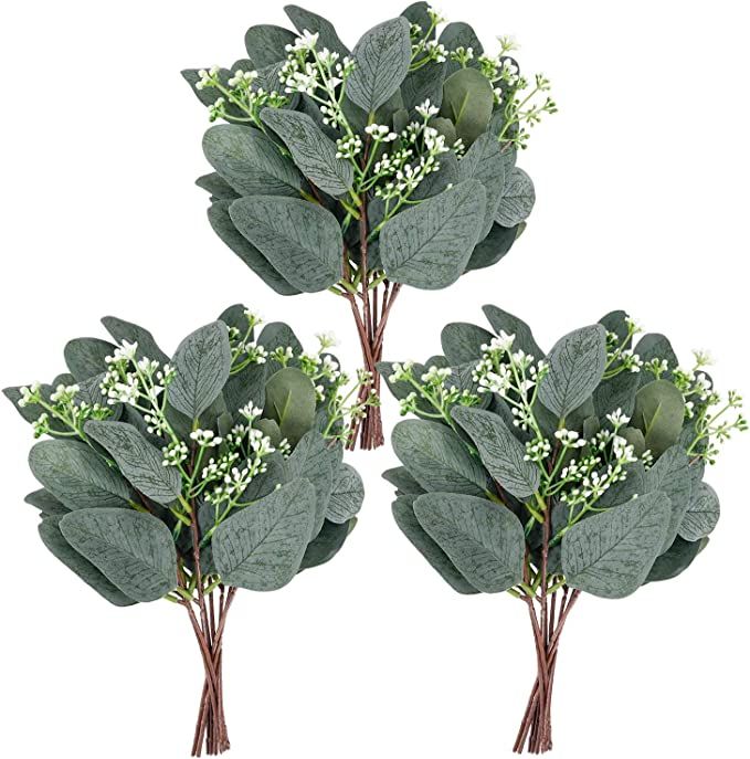 Whonline 20pcs Artificial Eucalyptus Leaves Stems with White Seeds Short Silver Dollar Artificial... | Amazon (US)