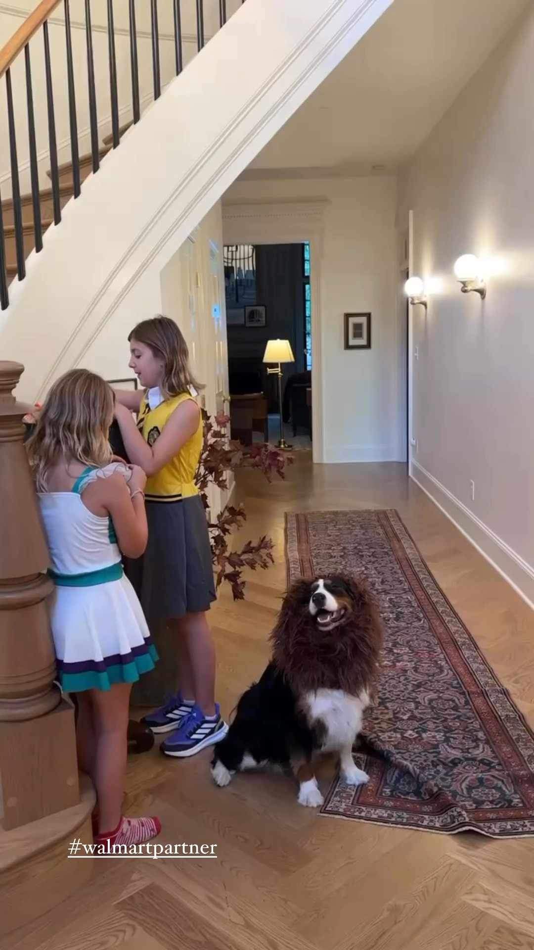 As a #walmartparner, I knew just where to go to find Cricket’s Halloween costume(s)!!

@walmart #WalmartPartner

#LTKSeasonal #LTKFindsUnder50 #LTKKids